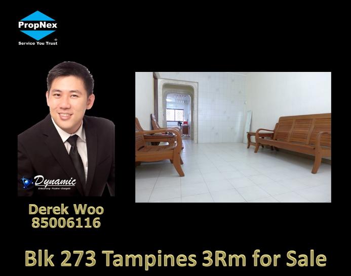 Blk 273 Tampines Street 22 (Tampines), HDB 3 Rooms #66926692